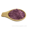 Freeze-Dried Natural Fresh Mulberry Powder